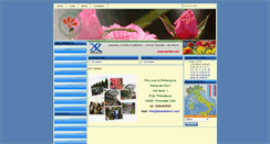 Desktop Screenshot of festadeifiori.com