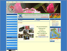 Tablet Screenshot of festadeifiori.com